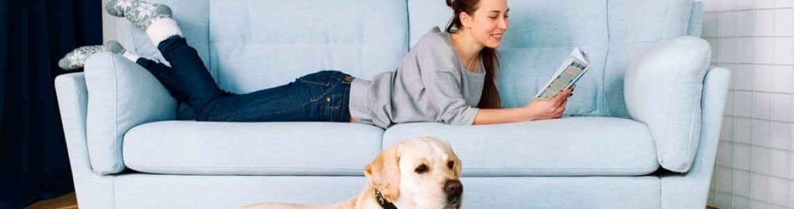 Подходят ли двуспальные диваны на каждый день?