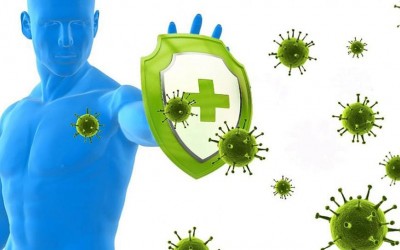 Анализы на антитела: как понять, что защищает ваш организм