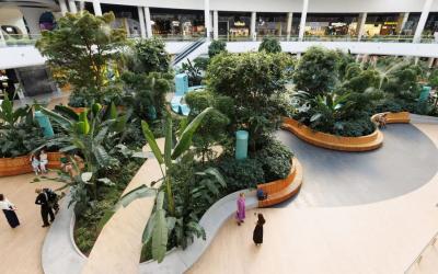 Внутрішнє озеленення: роль біофільного дизайну та експертиза Asteris Trade