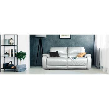 Диван Франтіні, шкіряний, 2 місця