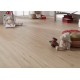 Ламинат Faus Wood Tempo: OAK CHAMPAGNE | 1Т09 | Дуб | 33 класс | 1 превью Ламинат Faus Wood Tempo: OAK CHAMPAGNE | 1Т09 | Дуб | 33 класс | 1 превью