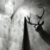 Фото интерьера: Дизайн интерьера ванной  – 50 оттенков серого – 1468