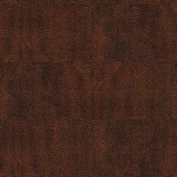 Швейцарська шкіряна підлога Bison Oxyd