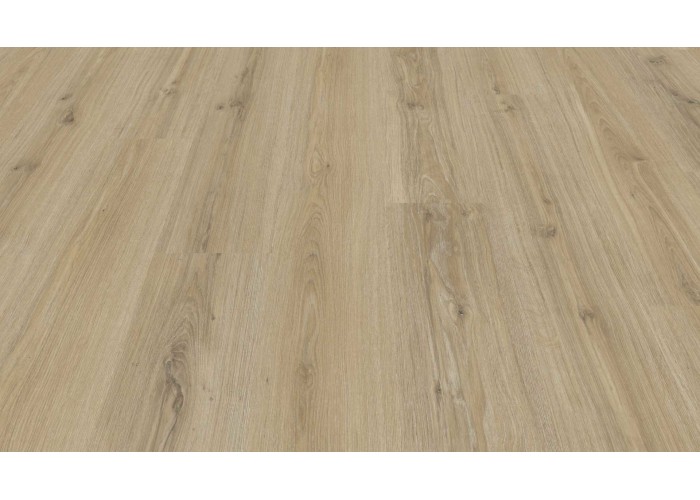 Ламинат My Floor: Dutch Oak |M8016| Голландский дуб 1 Ламинат My Floor: Dutch Oak |M8016| Голландский дуб 1