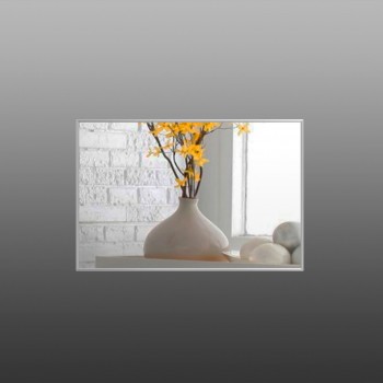 Зеркало настенное недорого Alum silver