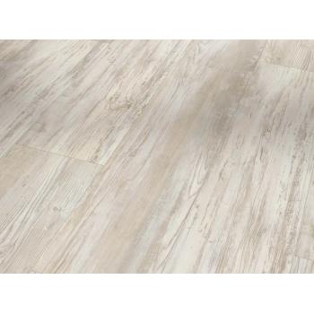 SPC вінілова підлога PARADOR (Парадор) Basic 5.3 Сосна Scandina white