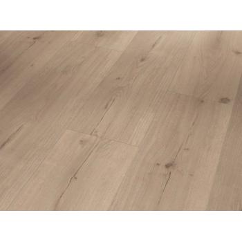 SPC вінілова підлога PARADOR (Парадор) Basic 5.3 Дуб Infinity grey