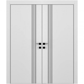 Двері з вертикальним алюмінієвим молдингом Dooris A04