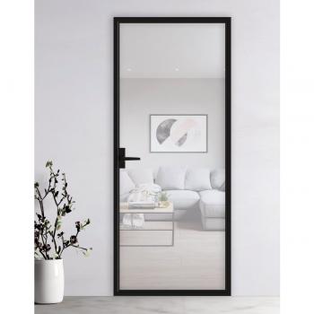 Двери из стекла SPZ04