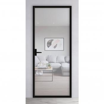 Двери из стекла SPZ04