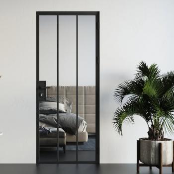 Стеклянная дверь SPZ06