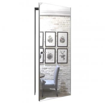 Вбудовані двері - 812 Дзеркало срібло