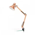 Настільні лампи на струбціні