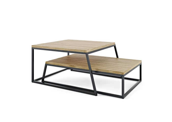  Horizon T-2  1 — купить в PORTES.UA