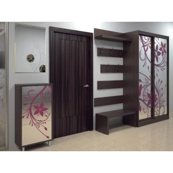 Шафа купе з піскоструминним малюнком на замовлення 2