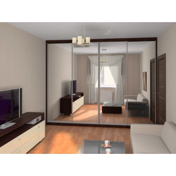 Шафа купе в вітальню на замовлення 17