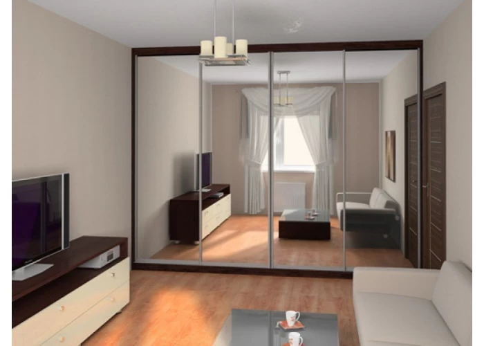  Шафа купе в вітальню на замовлення 17  1 — замовити в PORTES.UA