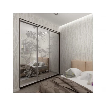 Шафа купе з піскоструминним малюнком на замовлення 24