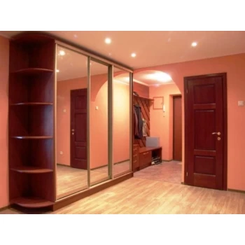 Шафа-купе із дзеркальними дверима на замовлення 11