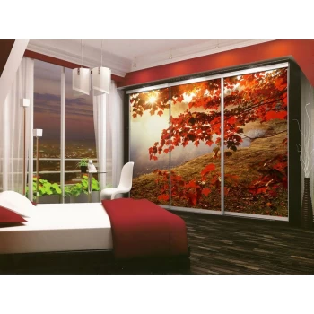 Шкаф-купе с фотопечатью под заказ 7