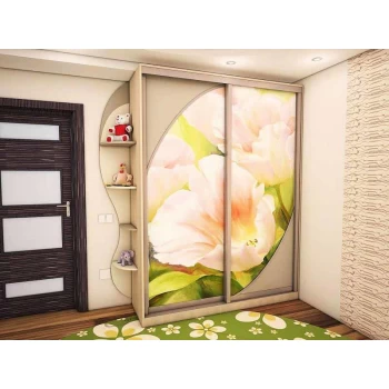 Шкаф-купе с фотопечатью под заказ 8