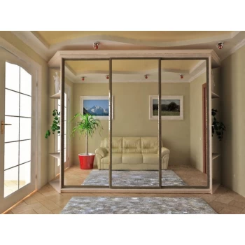 Шкаф-купе с зеркальными дверями под заказ 24