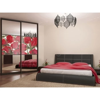 Шкаф-купе с фотопечатью под заказ 23