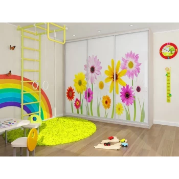 Шкаф-купе с фотопечатью под заказ 24