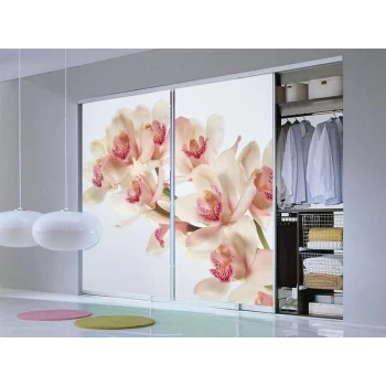 Шкаф-купе с фотопечатью под заказ 20