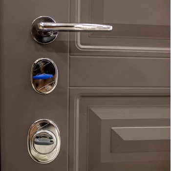 Straj двери • Standard Lux Securemme • Рубин