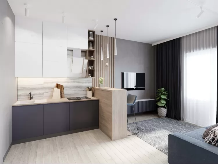 Кухня-вітальня – якісне фото натхнення № 2110