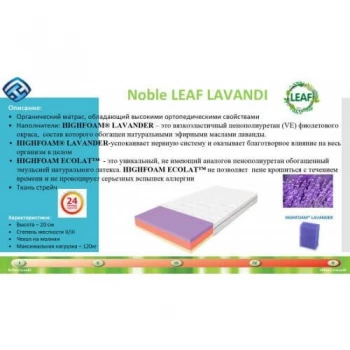 Матрац безпружинний HighFoam Lavandi