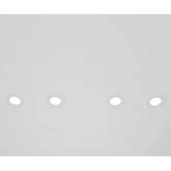 Пластиковые точечные Skarlat PS0475 BK