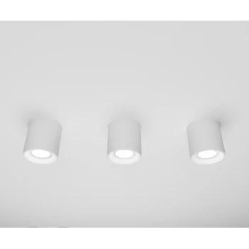 Пластиковые точечные Skarlat PS1100 WH+BK