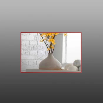 Зеркало настенное Alum Red