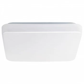 Светильник настенно-потолочный GIRON PRO/PROFESSIO