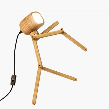 Настільна лампа FLAMPIC Basic+