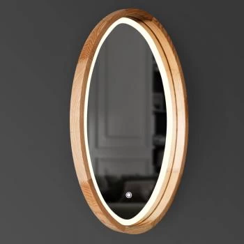 Декоративное зеркало на стену, модель Evolution LED 450х650