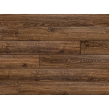 CLASSEN (Классен) Adventure Дуб Філадельфія