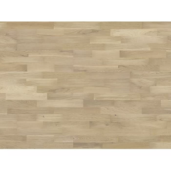 BARLINEK (Барлінек) Decor Line Дуб Bianco Molti білий матовий лак