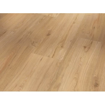SPC виниловый пол PARADOR (Парадор) Basic 5.3 Дуб Natural brushed
