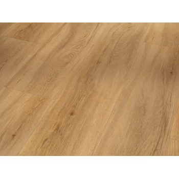 SPC вінілова підлога PARADOR (Парадор) Basic 5.3 Дуб Sierra natural