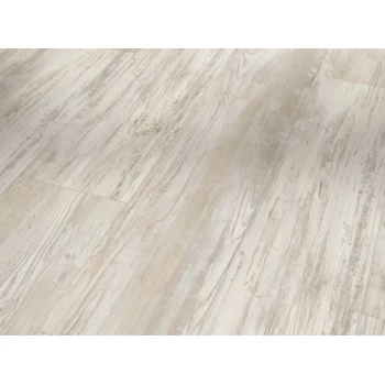 SPC виниловый пол PARADOR (Парадор) Basic 5.3 Сосна Scandina white