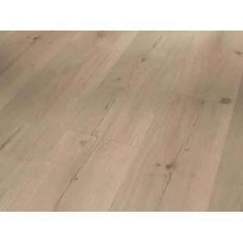 SPC виниловый пол PARADOR (Парадор) Basic 5.3 Дуб Infinity grey