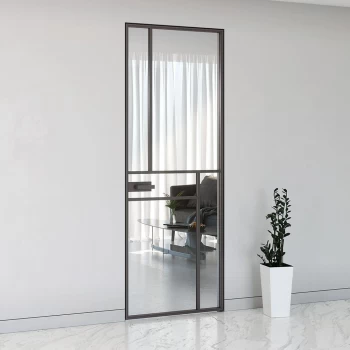 Стеклянные двери NEW FLY