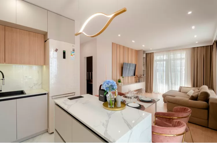 Кухня-вітальня copy – найкраще фото portes № 2294