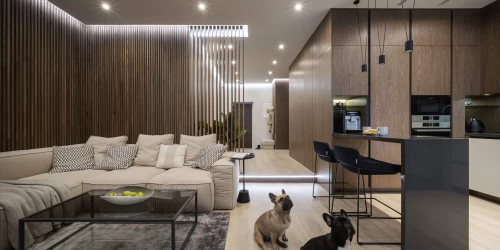 Дизайн-проект 3-кімнатної квартири "Два Французи" в ЖК Alter Ego, 81м.кв