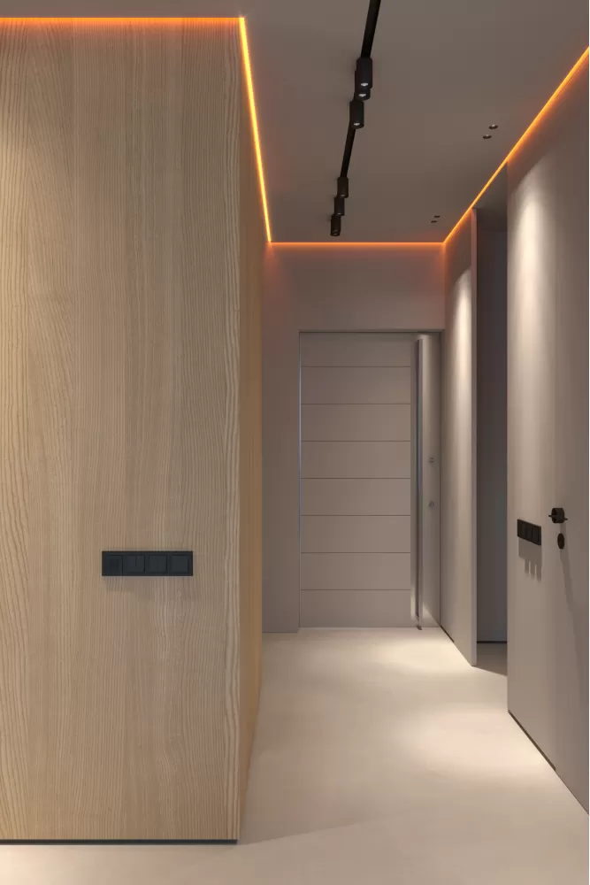 Дизайн передпокою з прихованими дверима