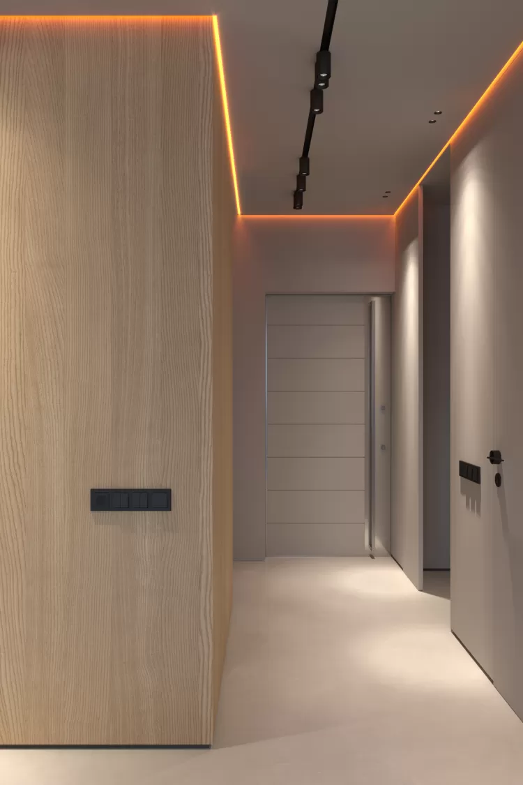 Дизайн передпокою з прихованими дверима