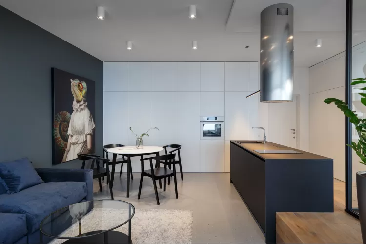 Кухня з вітальнею в дизайн-проекті квартири-студії 47м.кв. - Svoya